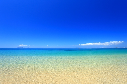 浜松湖西婚活サービス結い